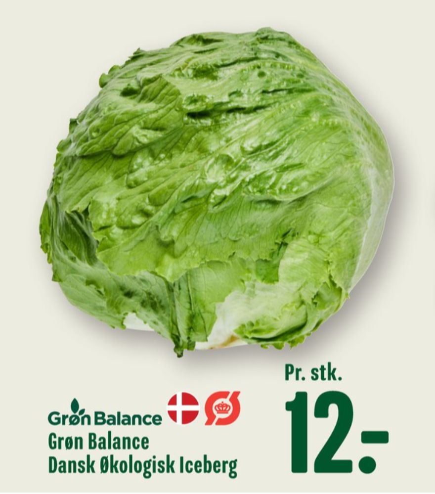 Grøn Balance, Icebergsalat