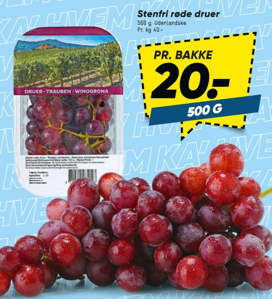 Vindruer