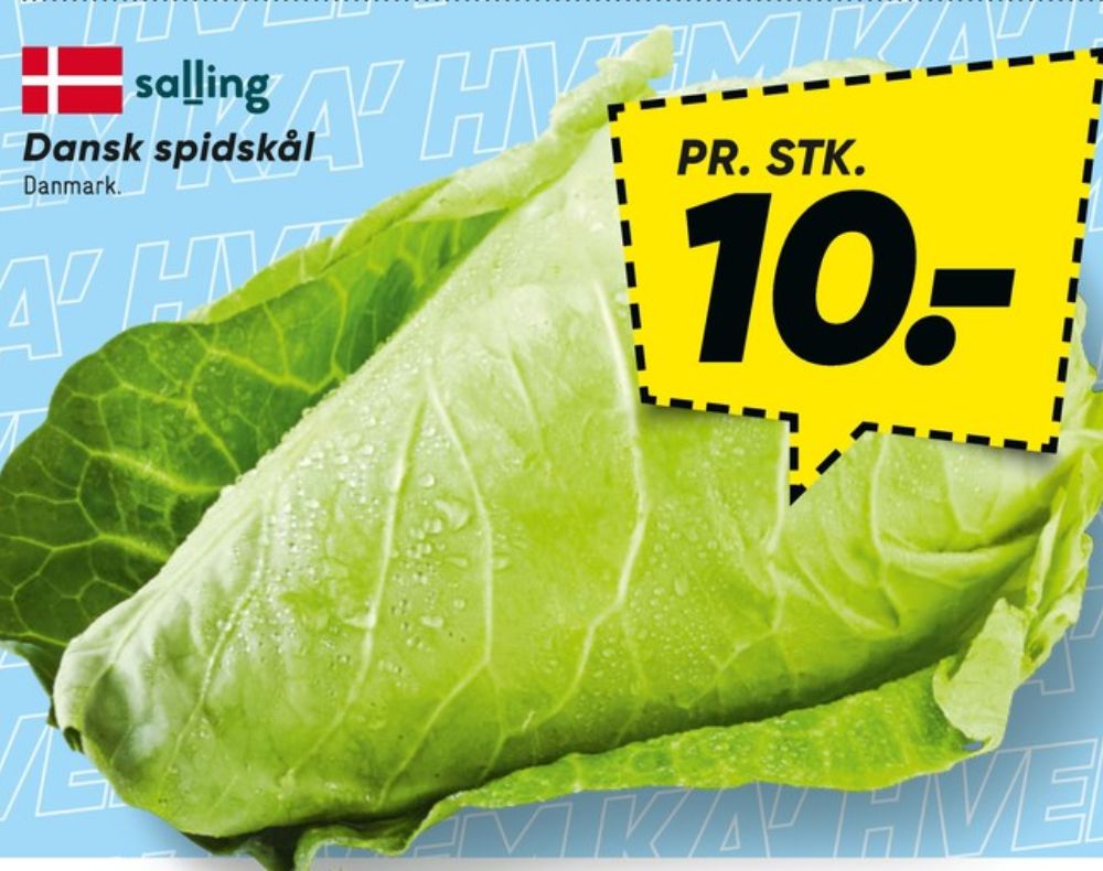 Salling, Spidskål