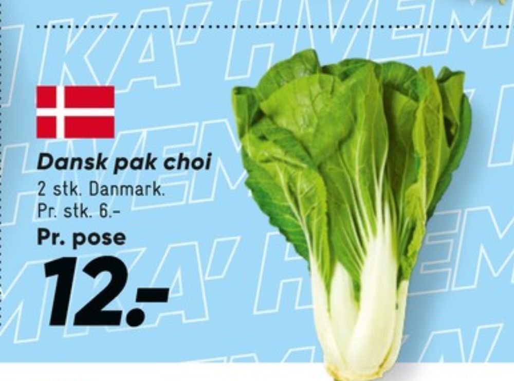 Pak Choy