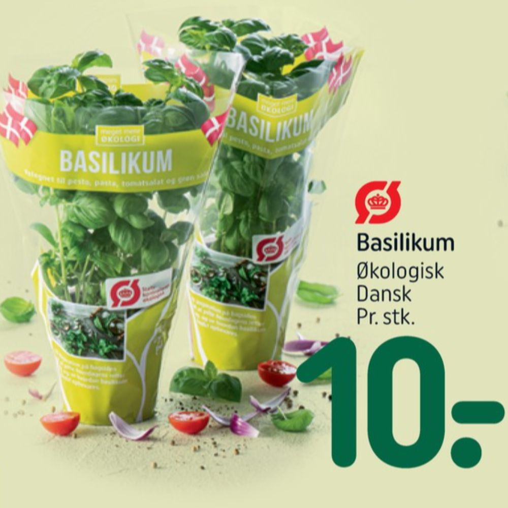 Basilikum