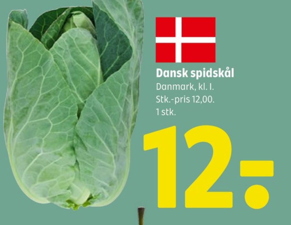 Spidskål