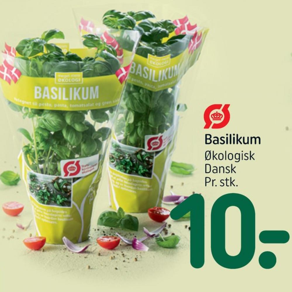 Basilikum