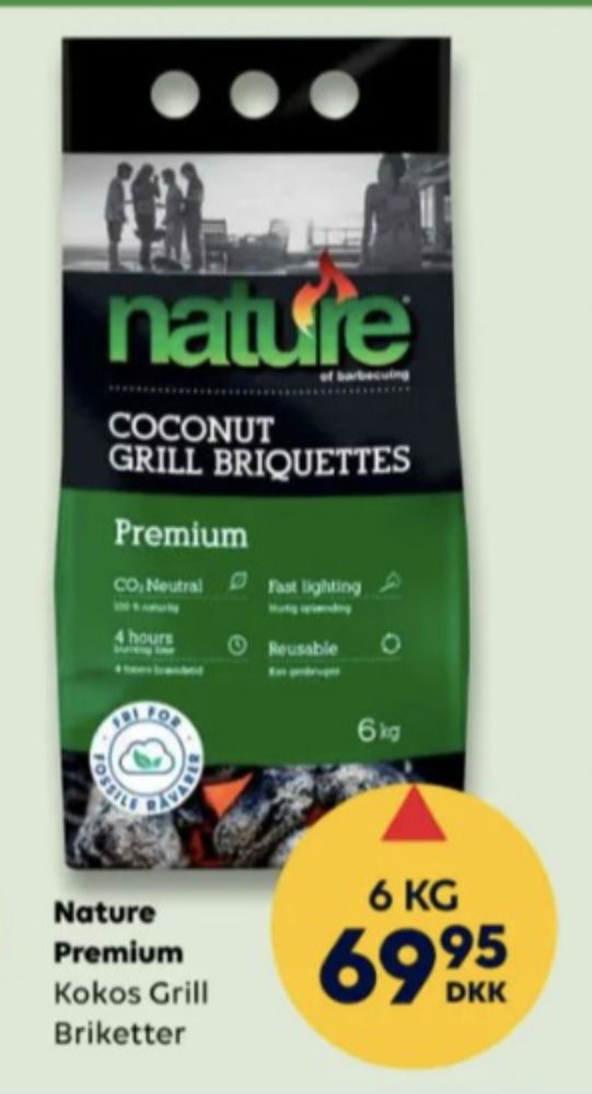 Nature, Grillbriketter