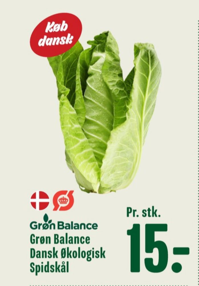 Grøn Balance, Spidskål