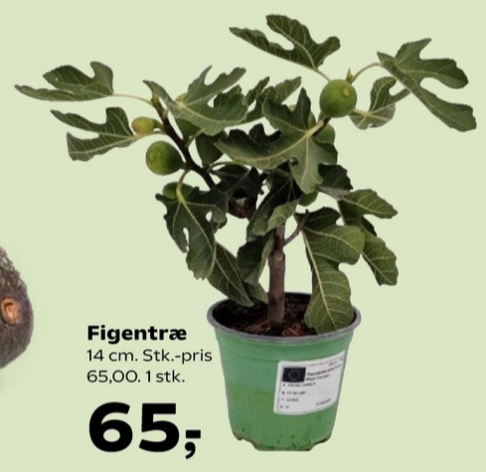 Kunstige planter