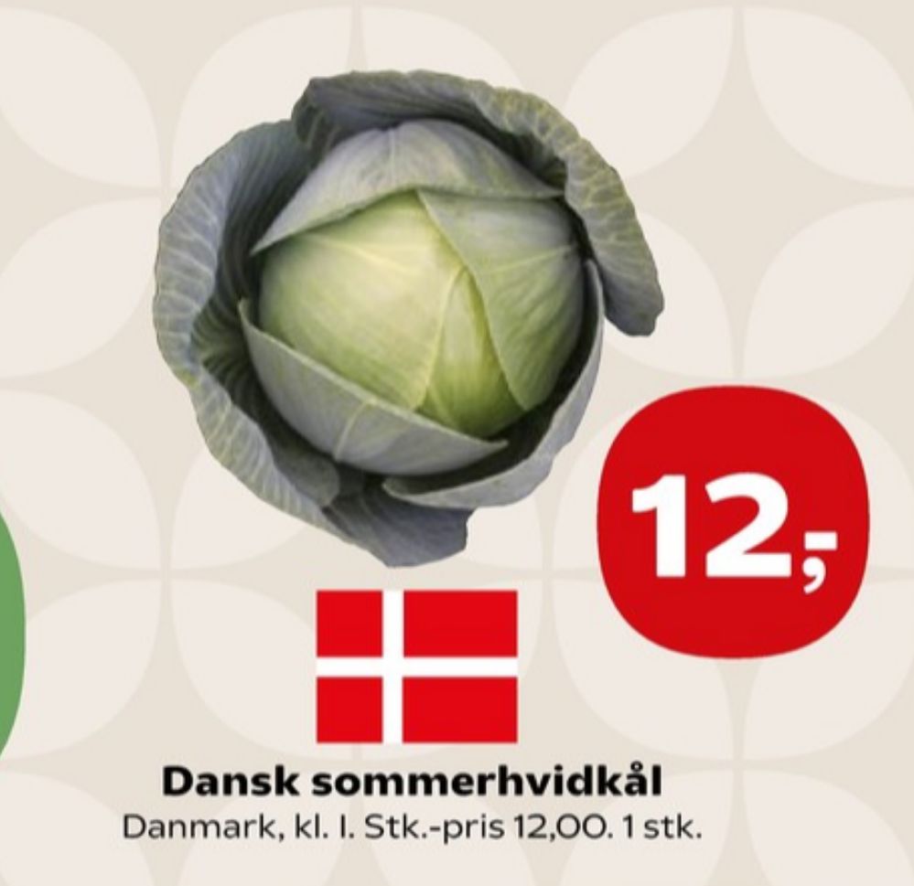 Hvidkål