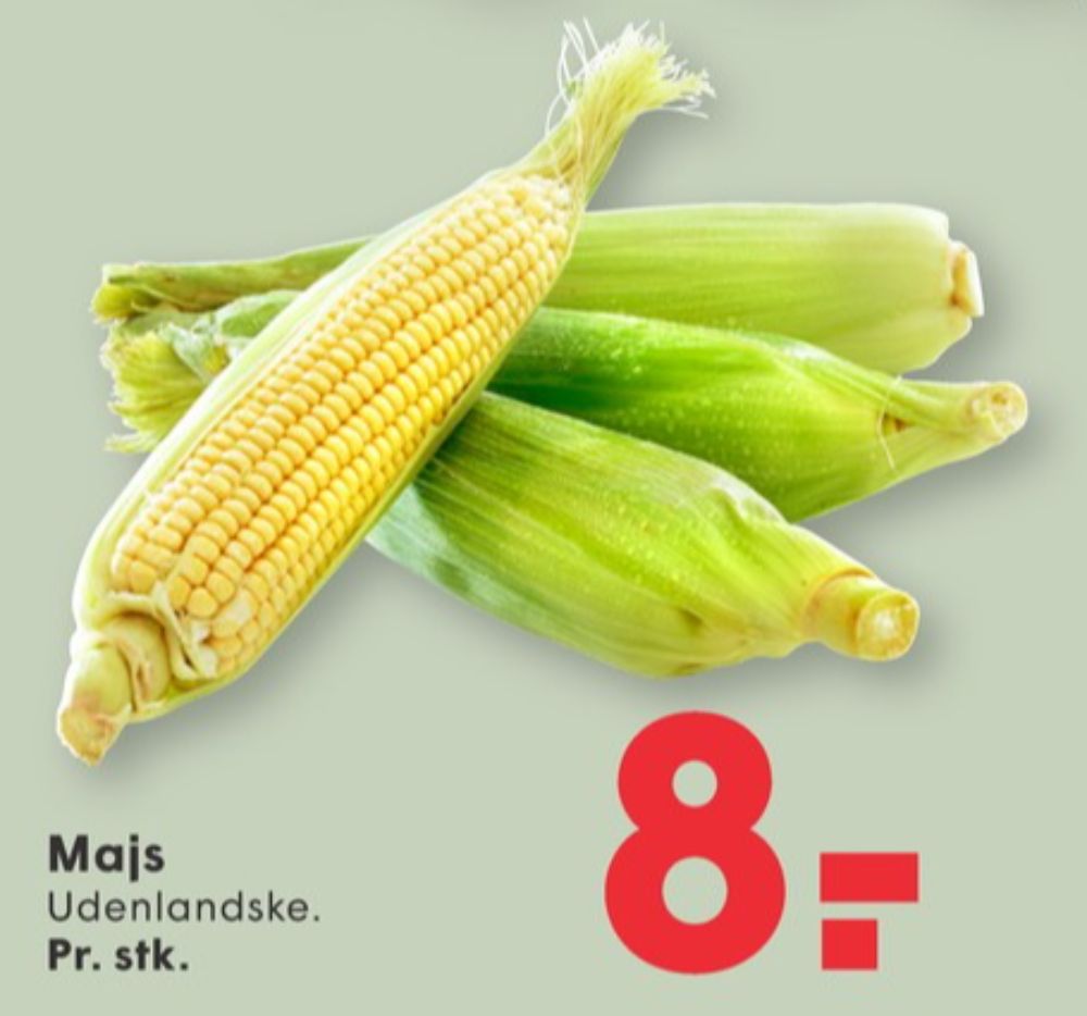 Majskolbe