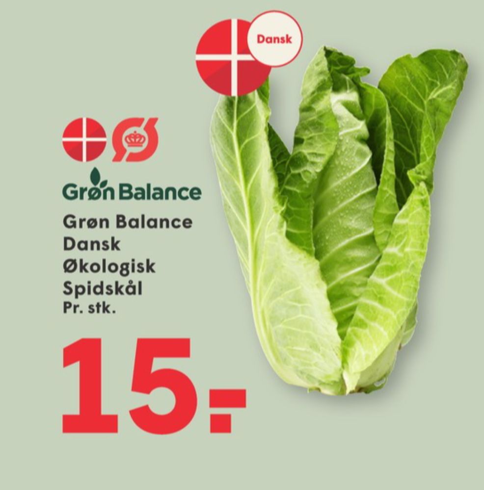 Grøn Balance, Spidskål