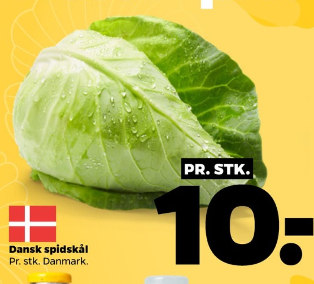 Spidskål