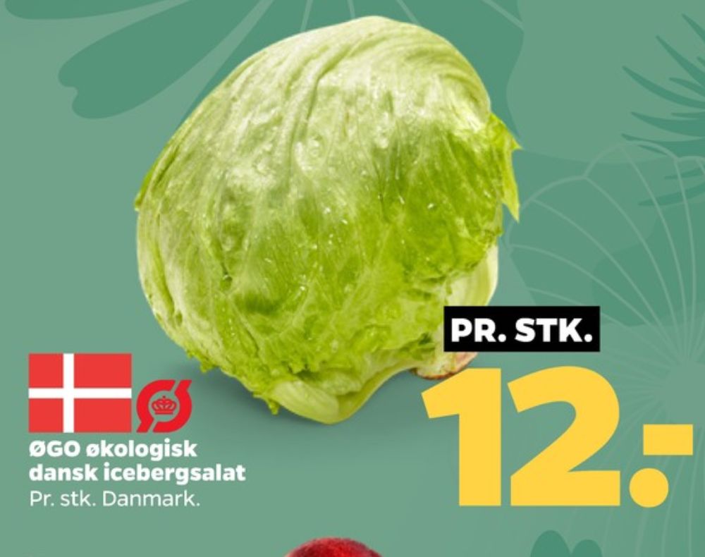 ØGO, Icebergsalat