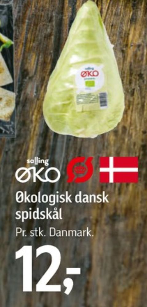 Salling ØKO, Spidskål