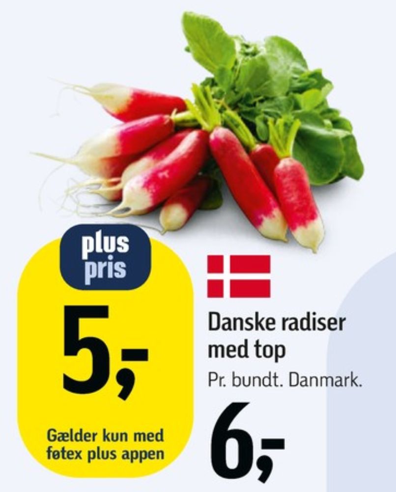 Radiser