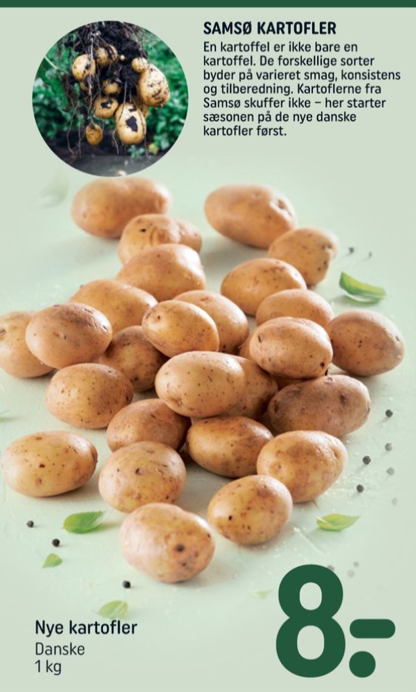 Kartofler