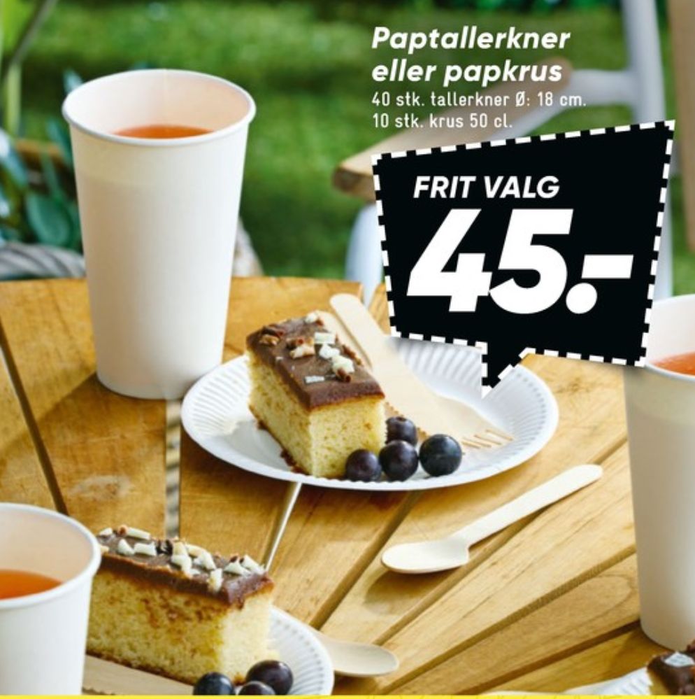 Engangstallerkner