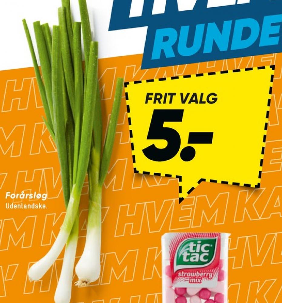 Forårsløg
