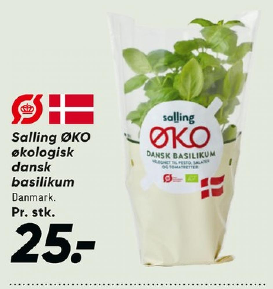 Salling ØKO, Basilikum