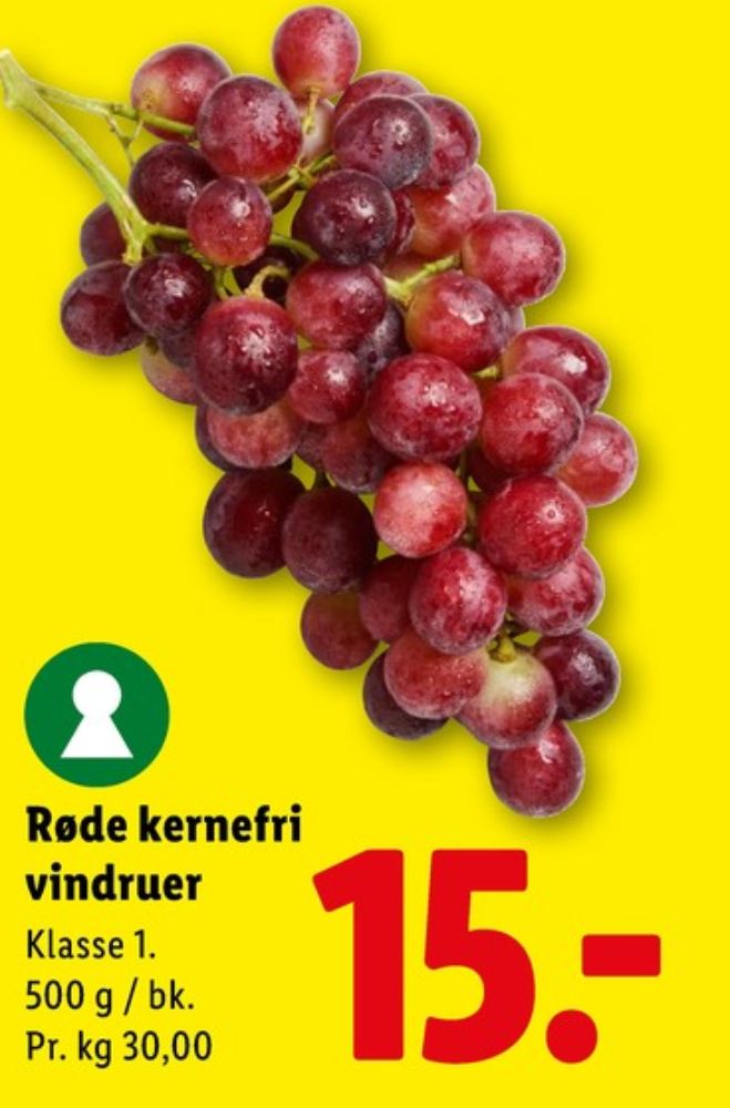 Vindruer