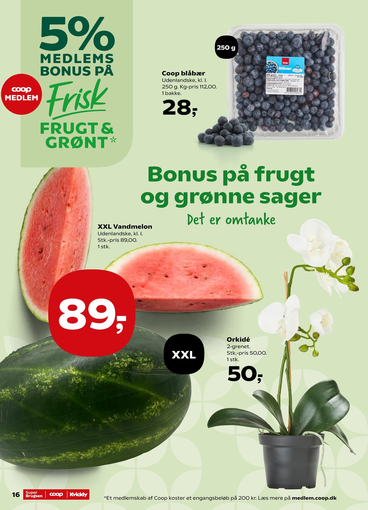 Catalogue page 16