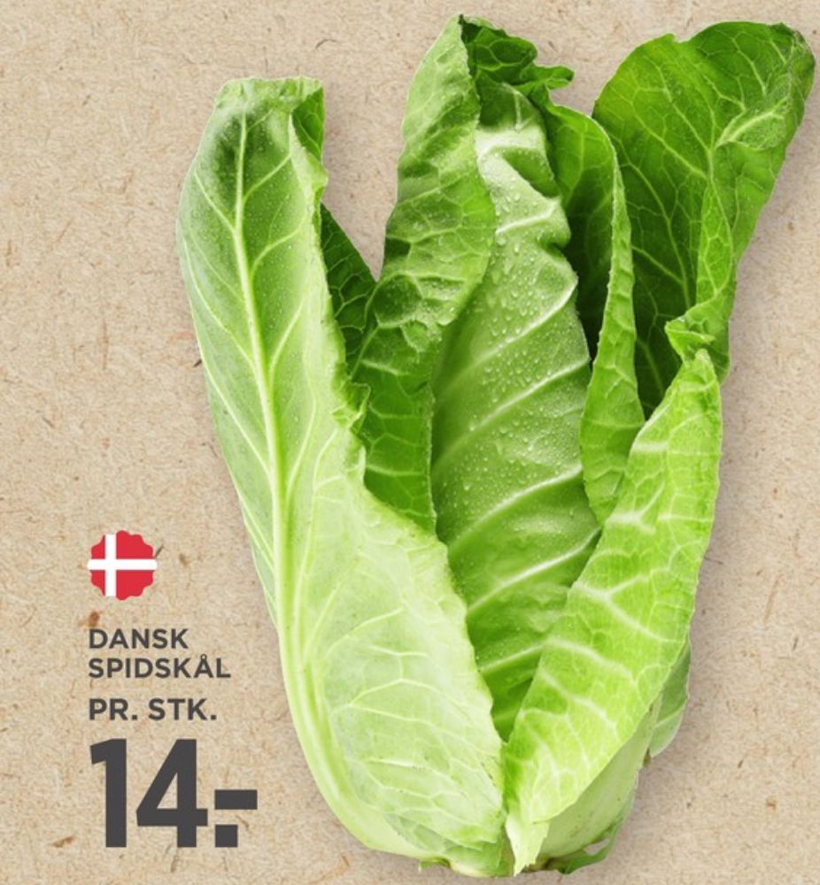 Spidskål