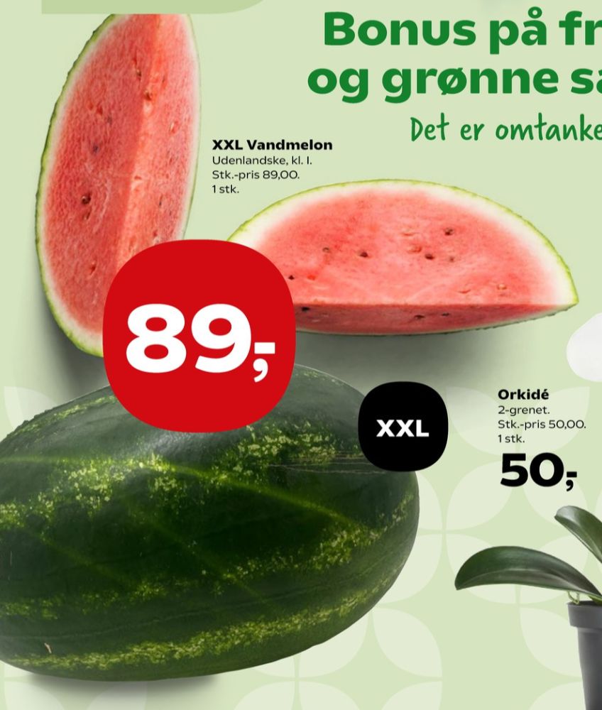 Vandmelon