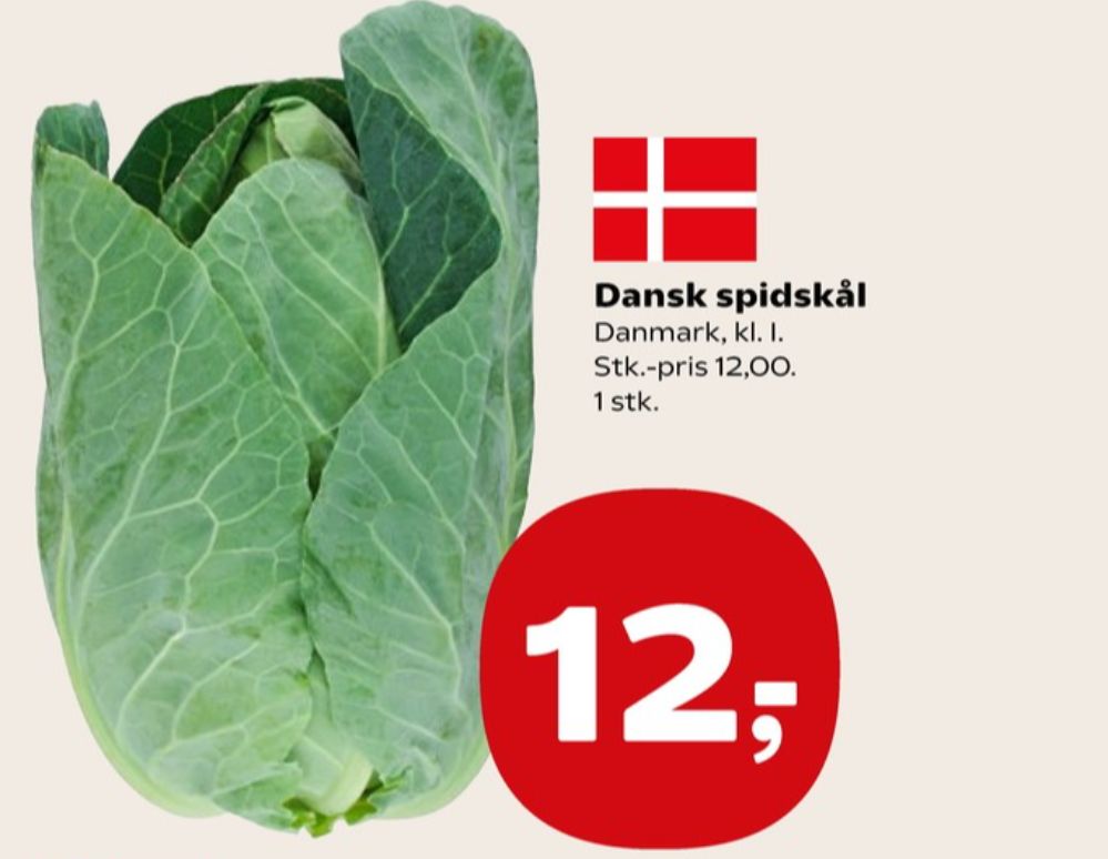 Spidskål