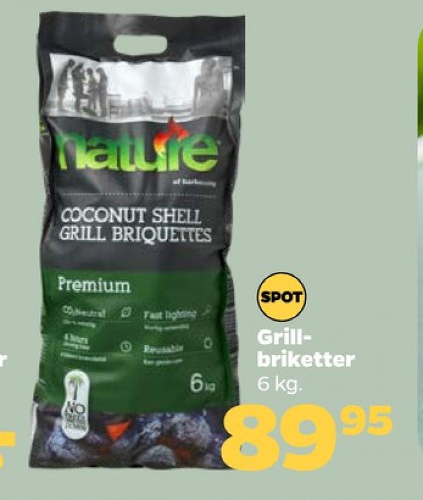 Nature, Grillbriketter