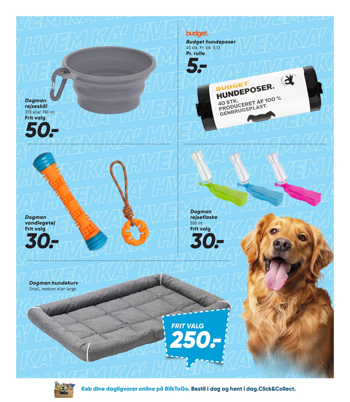 Catalogue page 42