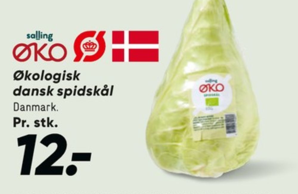 Salling ØKO, Spidskål