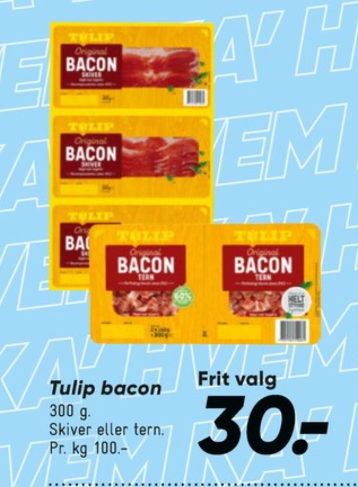 Tulip, Baconskiver
