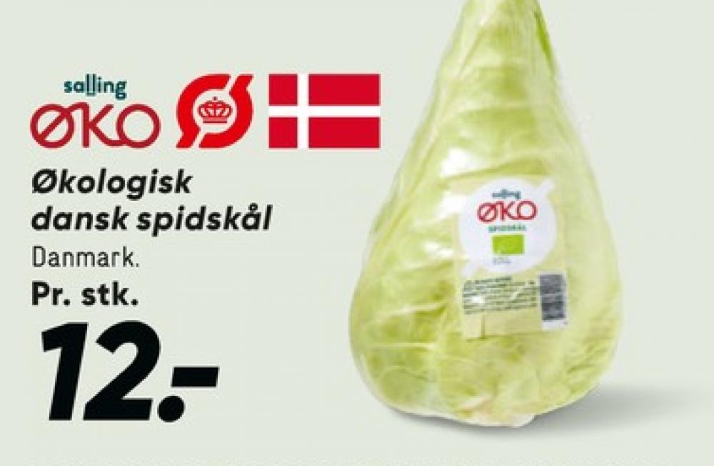 Salling ØKO, Spidskål