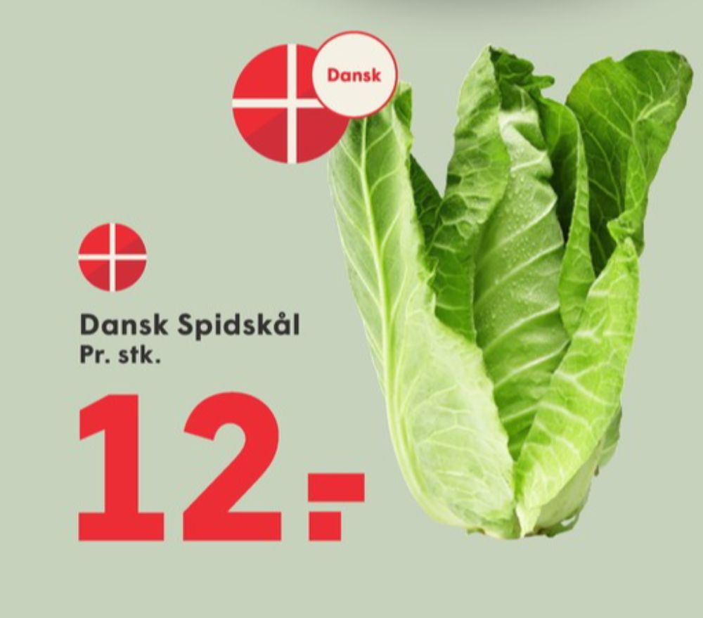 Spidskål
