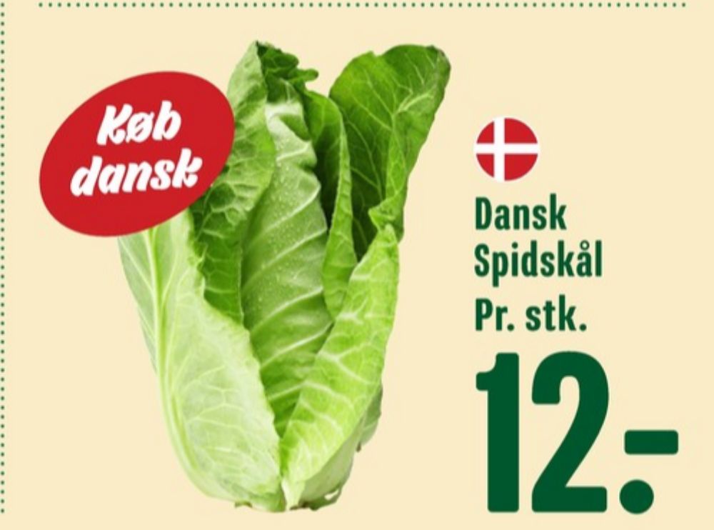 Spidskål