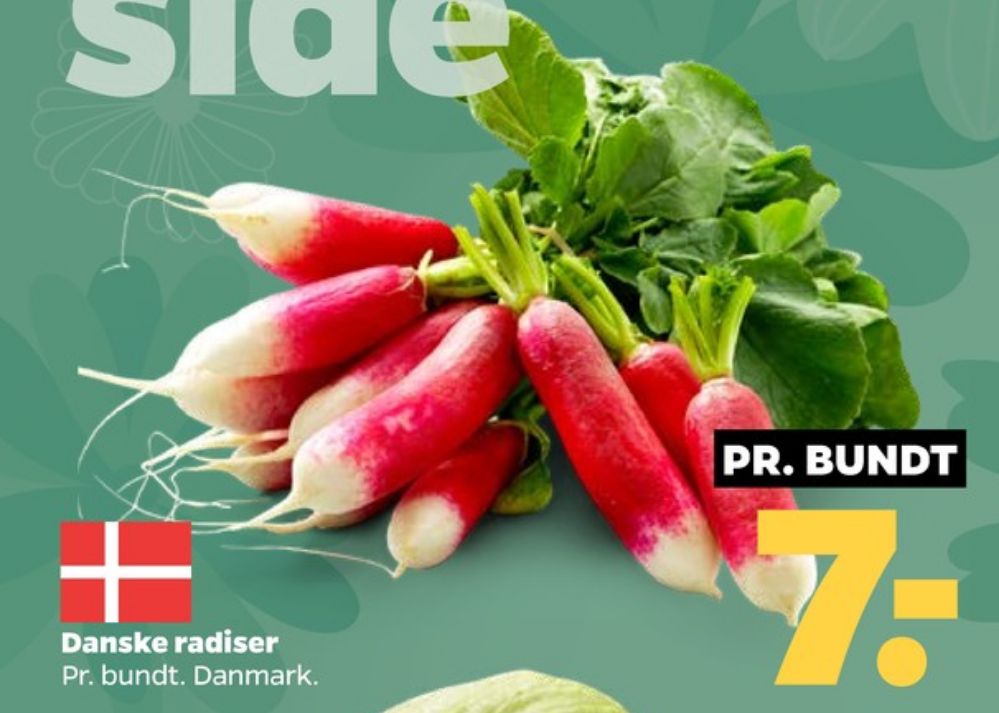 Radiser