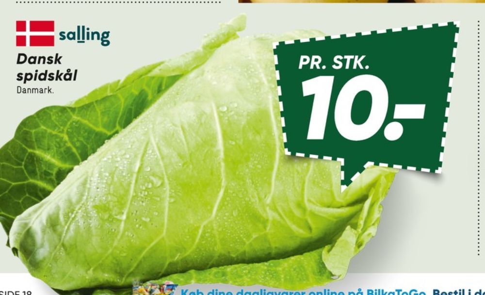 Salling, Spidskål