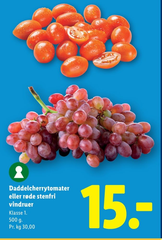 Vindruer