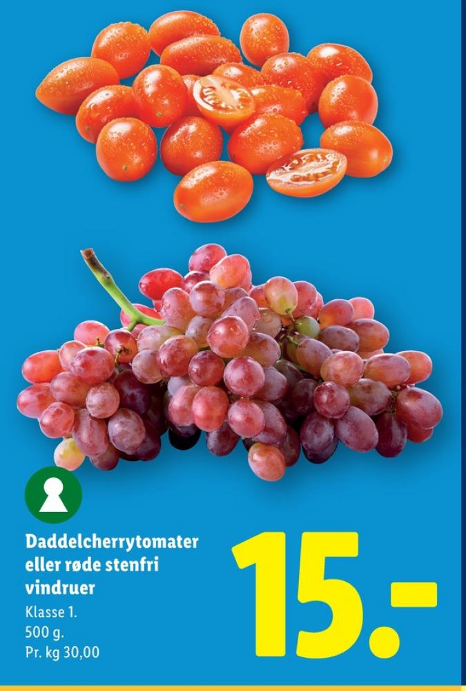Vindruer