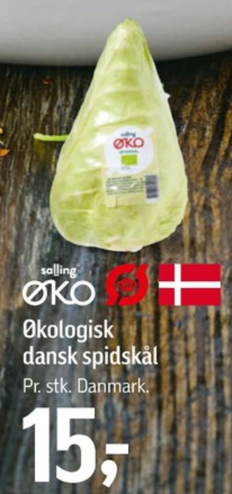 Salling ØKO, Spidskål