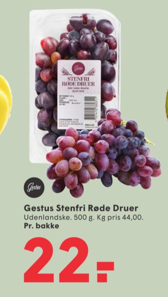 Gestus, Vindruer