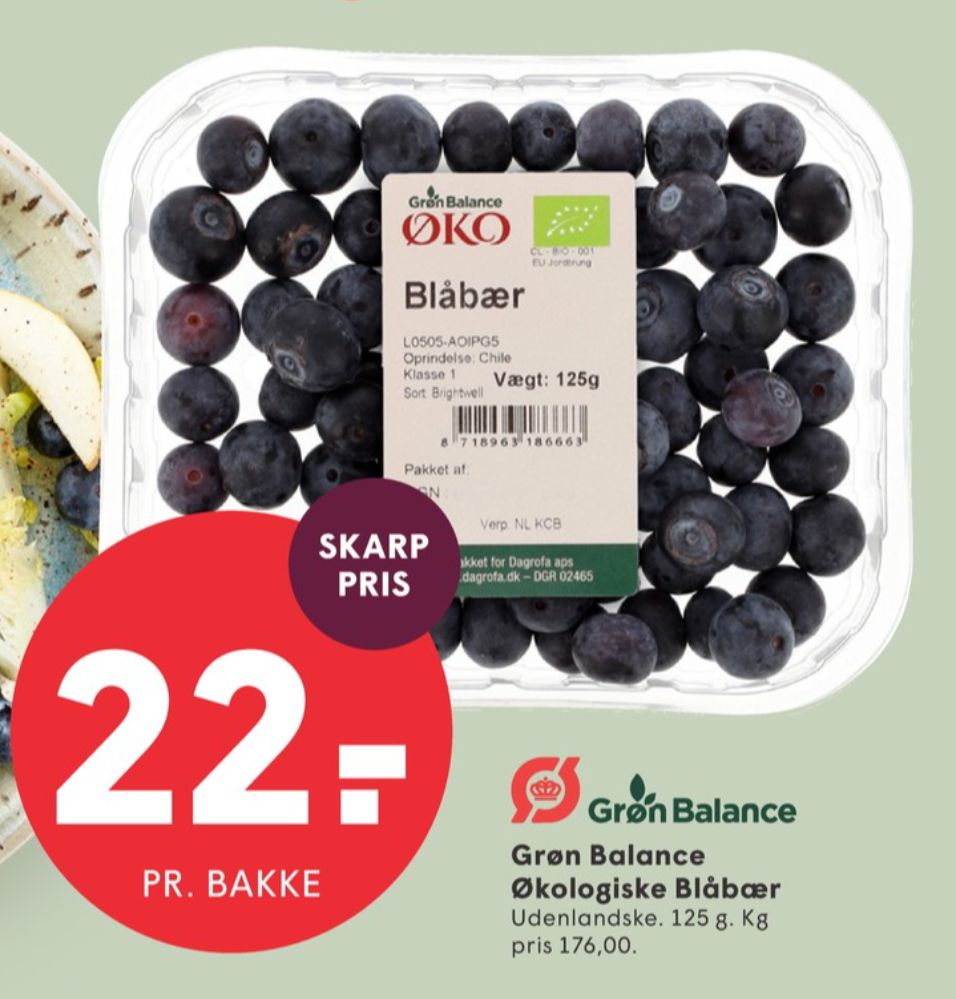 Grøn Balance, Blåbær
