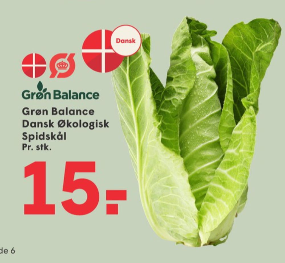 Grøn Balance, Spidskål