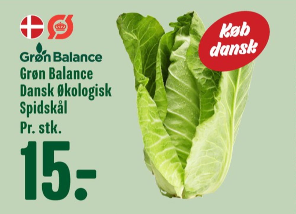 Grøn Balance, Spidskål
