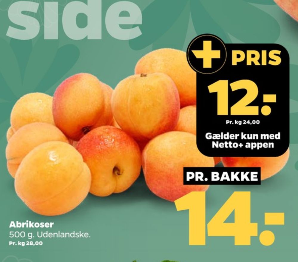 Abrikoser