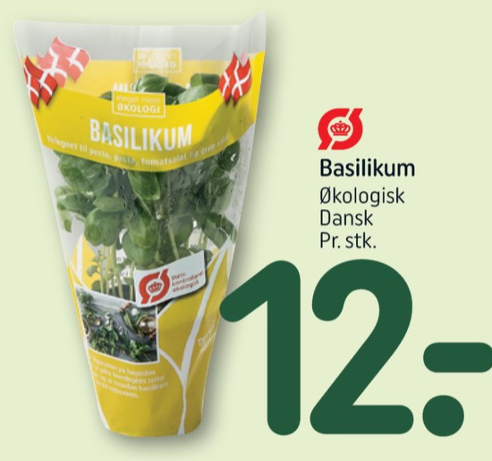 Basilikum