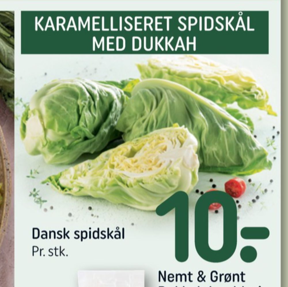 Spidskål