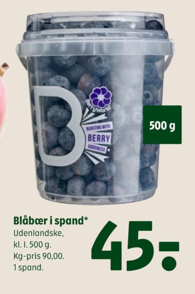Blåbær