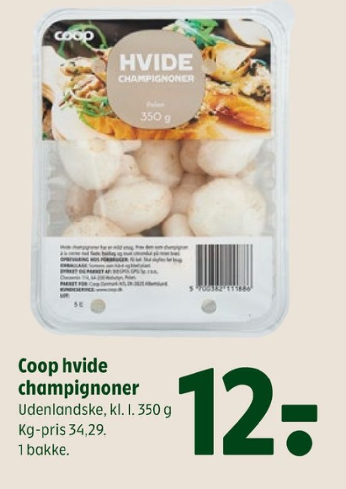 Coop, Champignon