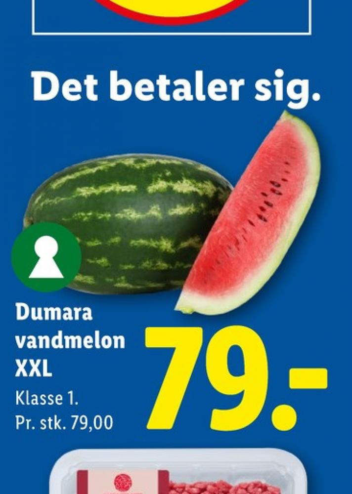 Vandmelon