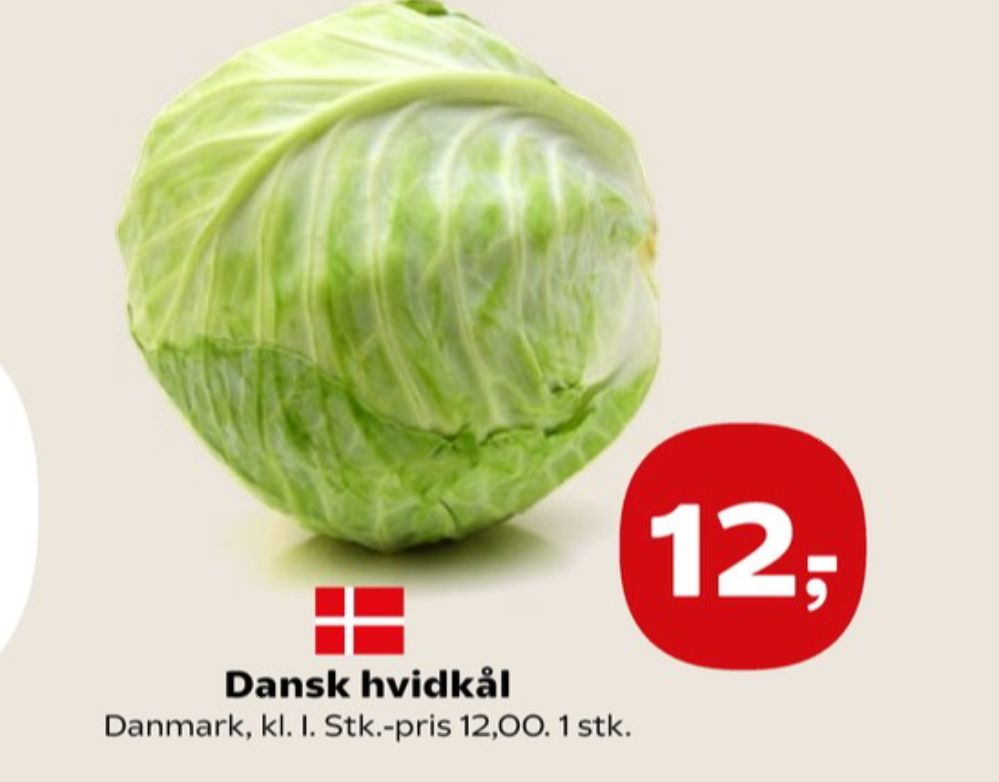Hvidkål