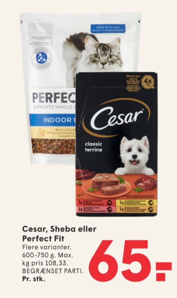 Cesar, Hundefoder